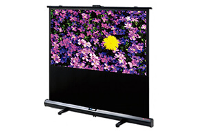 DELUXX Advanced Portable Self-Stand-X 186 x 105 cm 16:9 Mattweiss Polaro
