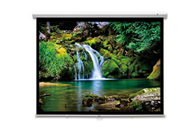 DELUXX Advanced Rolloleinwand Slowmotion 16:9 Mattweiss Polaro 266 x 148 cm