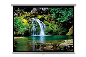 DELUXX Advanced Rolloleinwand Slowmotion 16:9 Mattweiss Polaro 295 x 165 cm